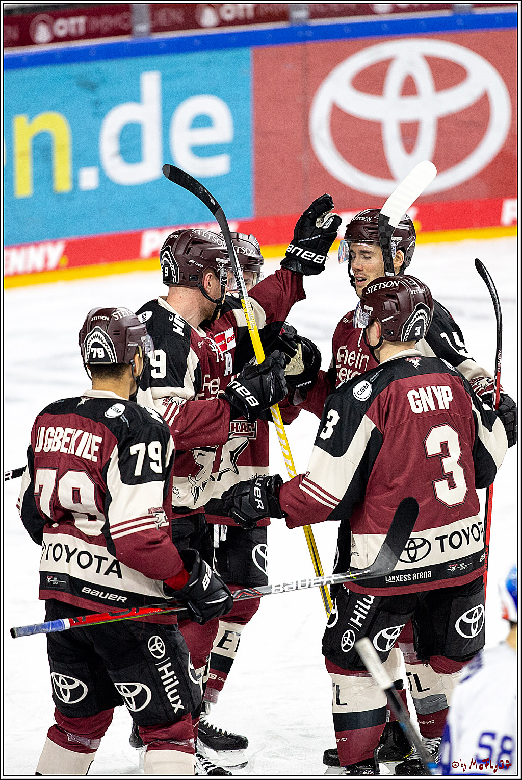 PENNY DEL;  Koelner Haie - Schwenninger Wild Wings; Koeln, 21.03.2021